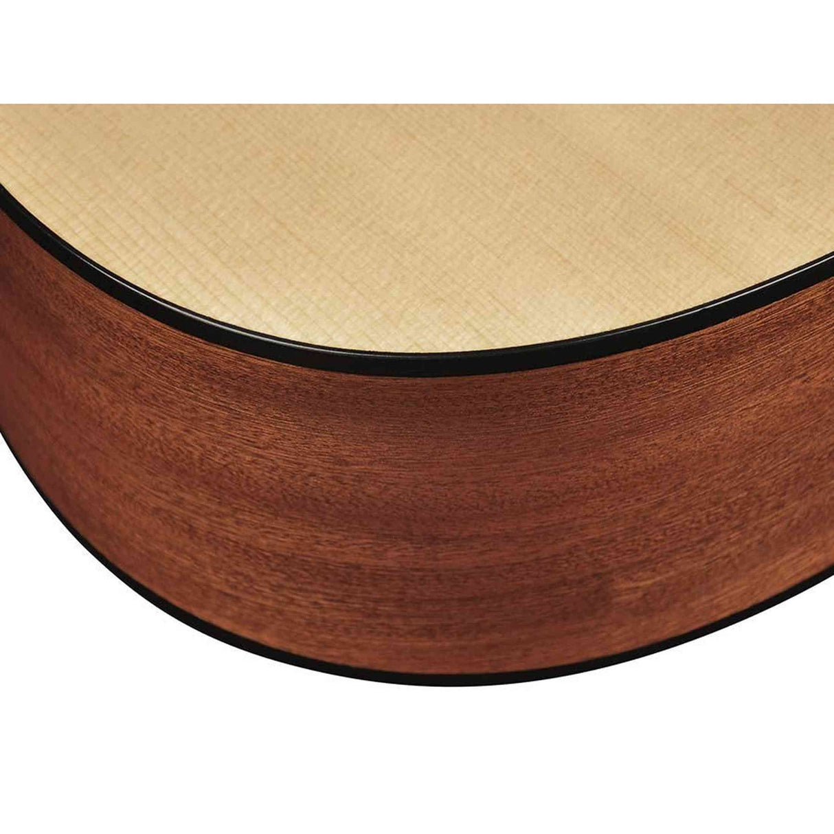 Richwood D-20-E Master Series Dreadnought Gitaar met Element – Inclusief Stemapparaat & Luxe Standaard