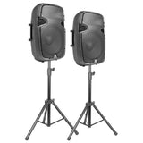 VONYX PSS302 Draagbare 300W Geluidsset met 10 inch Speakers, Bluetooth en 8-Kanaals Mixer