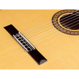 Salvador Cortez CF-55CE – Flamenco gitaar met massief spruce bovenblad, sycamore body, cutaway en Fishman elektronica