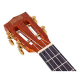Mahalo MJ3TBR Java Series Tenor Ukulele Transparant Bruin