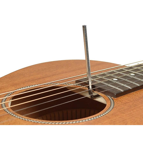 Richwood P-50-E Master Series handgemaakte Parlor semi akoestische gitaar