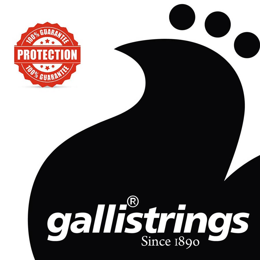Galli EG-1046 ProCoated elektrische gitaarsnaren 010-046