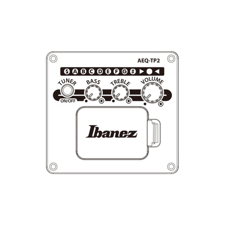 Ibanez AAD51CE DVS Advanced Acoustic elektrisch akoestische westerngitaar