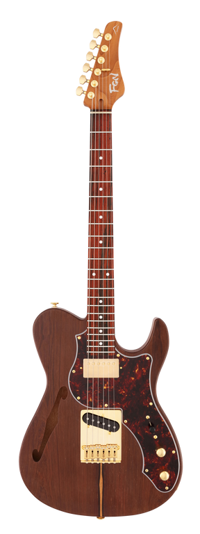 FGN Expert Iliad elektrische gitaar Natural Flat, Madagascar Rosewood Top, 22 RVS frets, met koffer