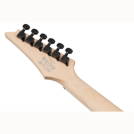 Ibanez RG421DX TWS RG elektrische gitaar Twilight Shade