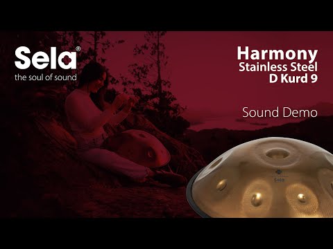 Sela SE 201 Stainless Steel Handpan D Kurd 440 Hz goud handgemaakt met gevoerde draagtas