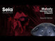 Sela SE 220 Nitrided Steel Handpan D Kurd 440 Hz donkerblauw met gevoerde draagtas